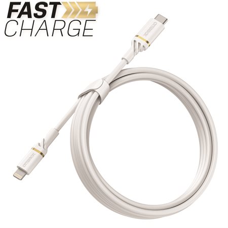 Charge / Sync Lighting to USB-C Fast Charge Cable