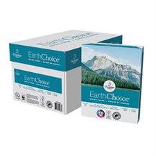 EarthChoice® Office Paper Box of 5,000 (10 packs of 500) letter