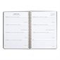 Letts® Celebrate Weekly Planner (2024)