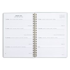 Letts® Celebrate Weekly Planner (2025)