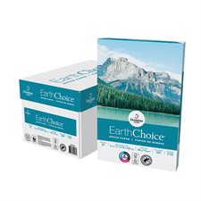 EarthChoice® Office Paper Box of 2,500 (5 packs of 500) 11 x 17 in