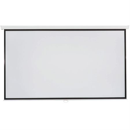 ViewSonic Projection Screen