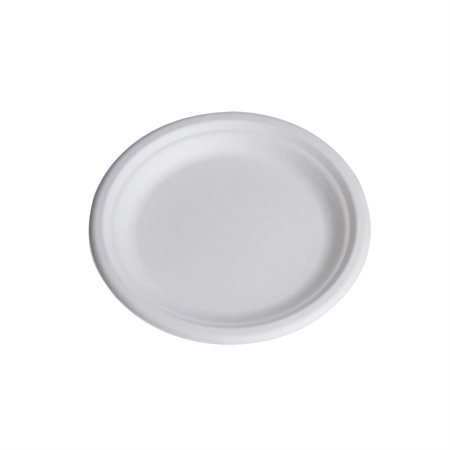Compostable Plate 10 in