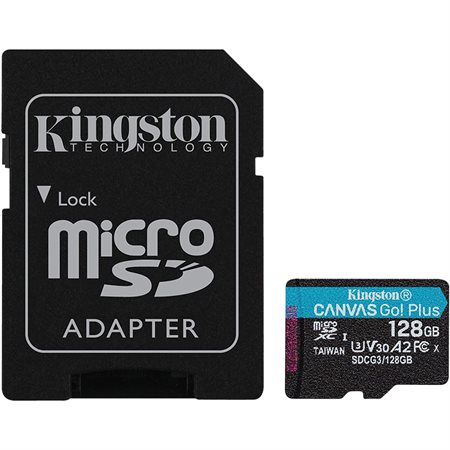 Carte mémoire microSD Canvas Go 128Go