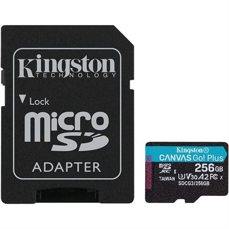 Carte mémoire microSD Canvas Go