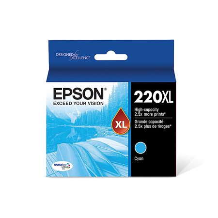 Epson 200XL DURABright High-Capacity Cartridge